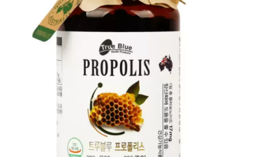 코스트코 프로폴리스, 꿀팁 대방출! 득템 후기와 함께 😉