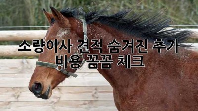 📦 소량이사 견적, 숨겨진 추가 비용 꼼꼼 체크! 💰