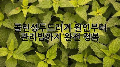 🥵 콜린성두드러기? 원인부터 관리법까지 완전 정복! 🛡️