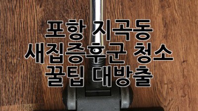 🏡 포항 지곡동 새집증후군 청소, 꿀팁 대방출! ✨